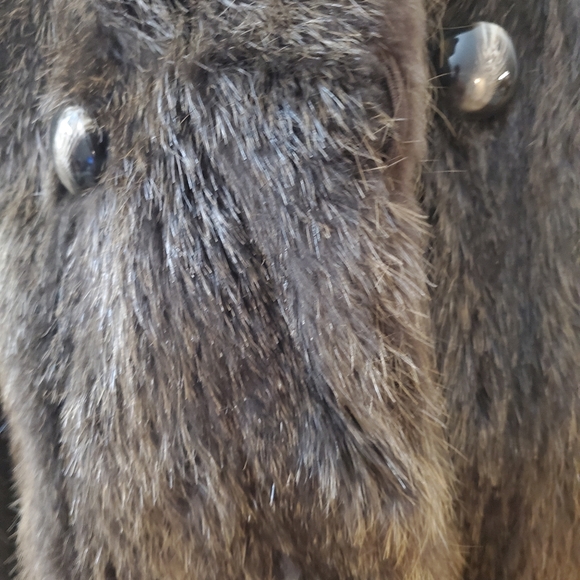 The Fur Vault Fur Coat Women's Fur Coat Sz Large - Picture 9 of 12